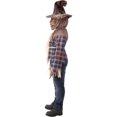 thumbnail image 2 of Scarecrow Boy's Costume, 2 of 4