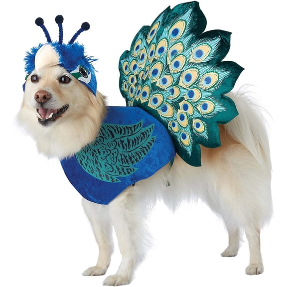 , Pretty as a Peacock Pet Costume Large