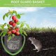 thumbnail image 3 of Plant Root Guard Baskets Wire Basket Mole and Vole Mesh Wire Baskets for Garden Pots Underground Ro, 3 of 5