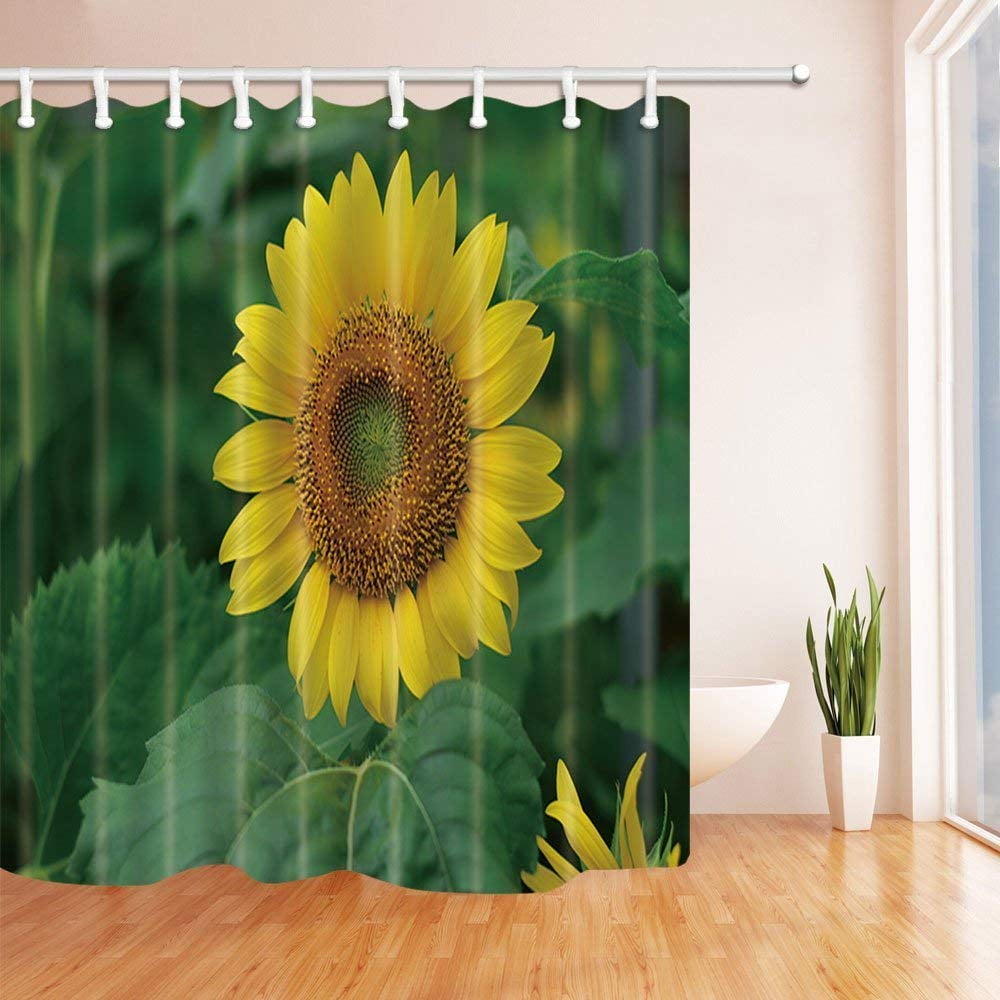 BPBOP Sunflower Summer Garden Helianthus Sunflowers with Leaves