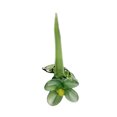 thumbnail image 1 of Decoración floral de vidrio hecha a mano con tallo, miniplantas florales sopladas a mano, figura decorativa para el hogar, sala de estar, oficina, mesa, florero., 1 of 8