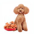 thumbnail image 5 of 1.32LB/600g Mixed Flavor Series, Easily Digestible, Dog Chews Long Lasting, And High Protein, Low Fat, Perfect Training Reward Snack For Small, Medium and Large Dogs, 5 of 10