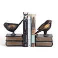 thumbnail image 1 of Danya B DS781 Birds on Books Bookend Set, 1 of 1