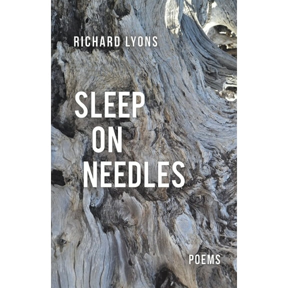 Sleep on Needles (Paperback)