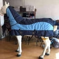 thumbnail image 4 of para caballos de 350g, 6000D, para caballos: impermeables, transpirables, a prueba , alejadas de los molestos mosquitos - Azul, El 145cm Soledad Manta de participación de caballos, 4 of 9