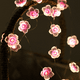 thumbnail image 2 of Lámpara LED de alambre de cobre con forma de flor, cadena de lámparas con forma de flor de cerezo y durazno, cadena de lámparas para decoración de festivales, 2 of 6