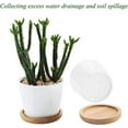 thumbnail image 4 of 4 Pack Bamboo Saucer, 4" Round Plant Tray for Modern Ceramic Flower Pot, Planter Pot Tray, Cup Holder, Spoon Holder, Kitchen Utensil Rest, 4 of 6