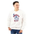 thumbnail image 4 of Statue of Liberty America is Lit Joke Unisex Plus Fleece Graphic Sweatshirt Brisco Brands 4X, 4 of 6