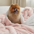 thumbnail image 2 of Cozy Comfort Sherpa Fleece Throw Blanket Pink - Soft Fuzzy Throw Blanket for Sofa, 50x60 inches, 2 of 6