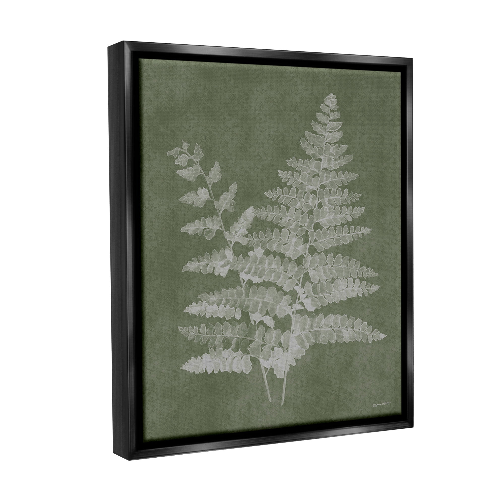 Stupell Industries Green Rustic Ferns Botanical & Floral Painting Black Floater Framed Canvas Art Print Wall Art, 17 x 21