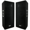 Seismic Audio Pair of Dual Premium 12" PA/DJ Speaker Cabinets with Titanium Horns - NEW - FL-122P