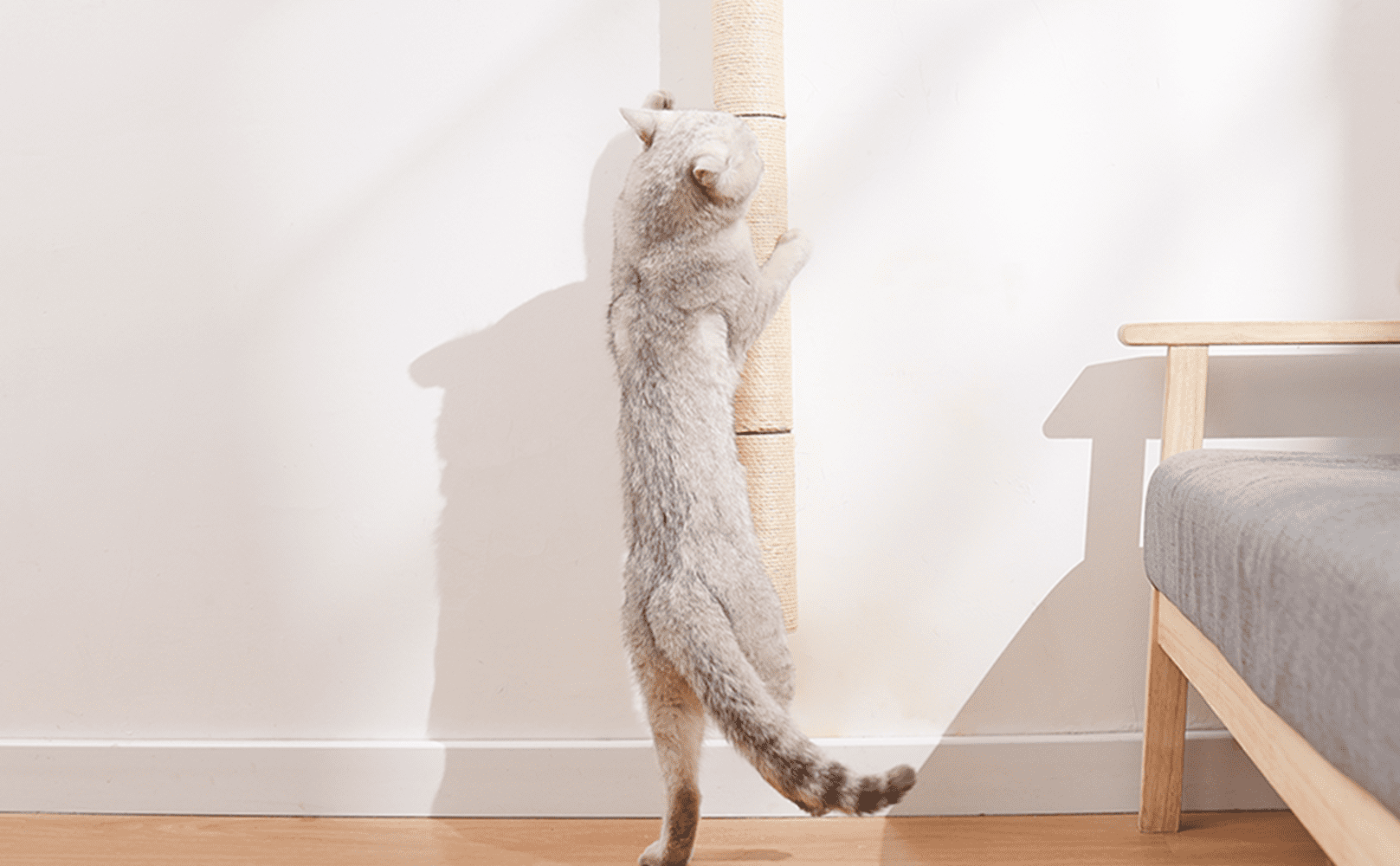 MIUZMORE 28.91in Cat Scratching Post, Wall-Mounted Scratching Post, Sisal Cat Scratcher, Scratchers for Indoor Pets