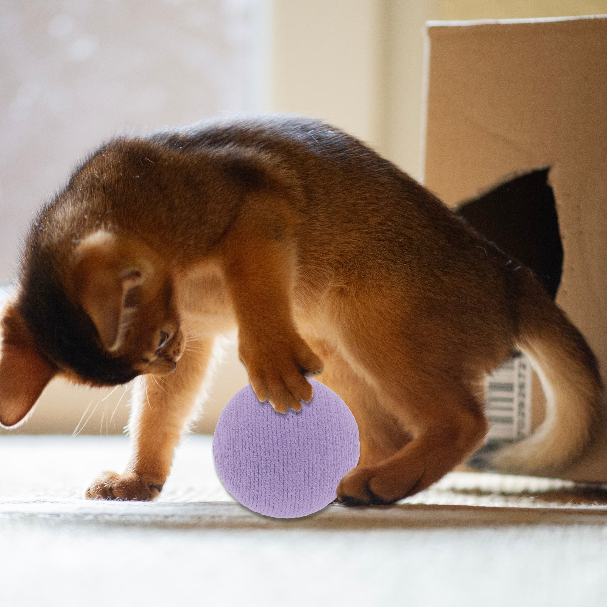 Unique Bargains Playing Ball with Bell for Cat Playtime Purple