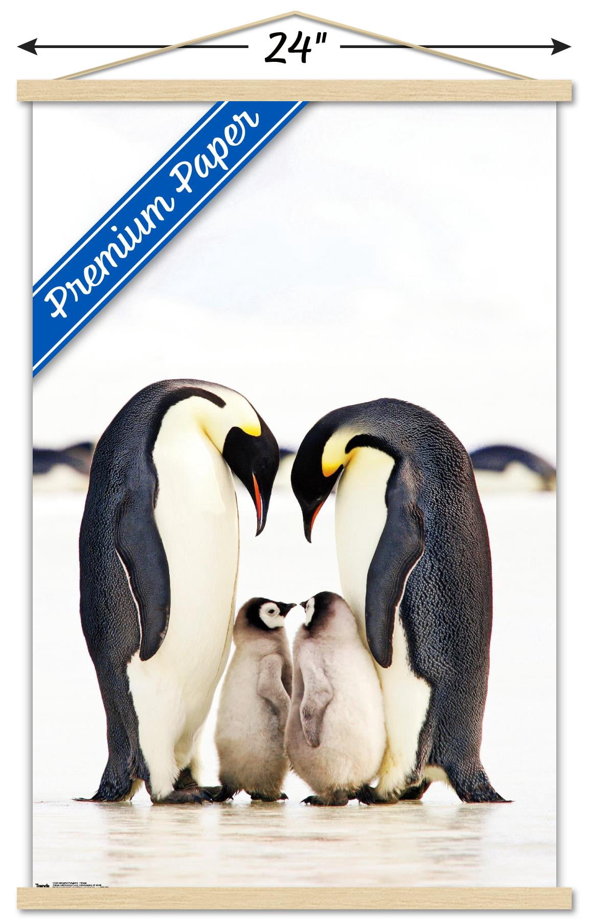 A Group Of Emperor Penguins Wall Poster with Wooden Magnetic Frame, 22.375" x 34"