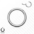 thumbnail image 2 of BodyJewelryOnline 16G 18G 20G Hoop Ring Implant Grade Titanium Hinged Segment Rings Men Women, 2 of 8