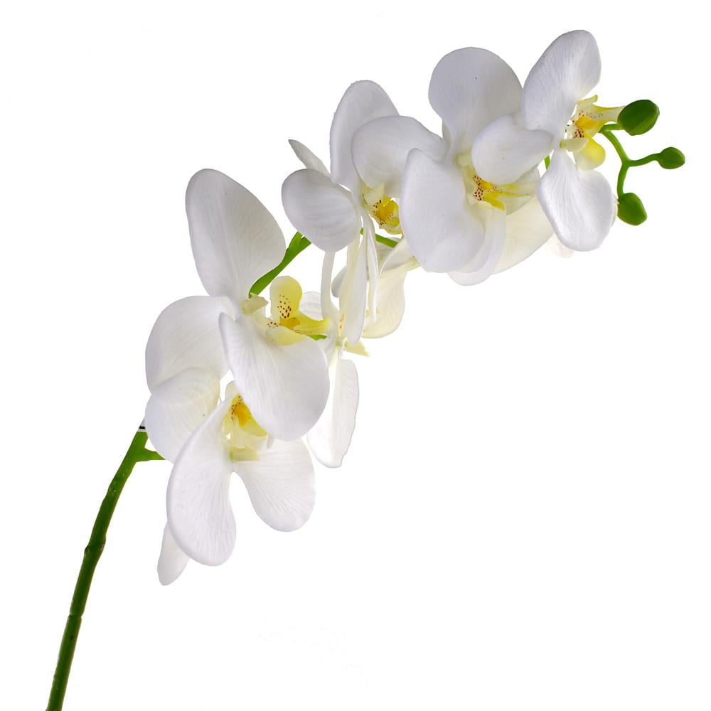 Deluxe Artificial Orchid Stem, 31Inch, White