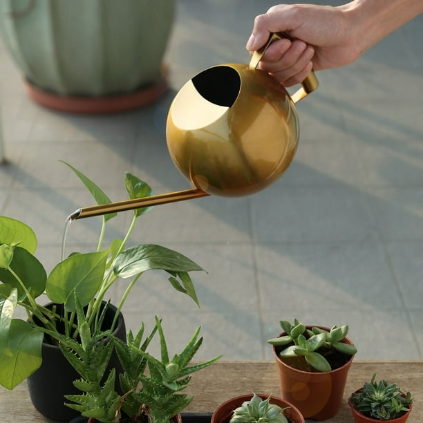 Regadera de acero inoxidable | Regadera metálica de 1 L con pico largo para plantas de interior y exterior | Acabado cepillado, mango ergonómico, diseño antiderrames