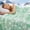 Green, variant on Cooling Blanket for Hot Sleepers, Absorbs Heat to Keep Adults Cool, Printed Summer Throw Blanket, Lightweight Soft Cold Blanket for Couch Bed Travel Camping, Light Gray, Throw (50"x70")