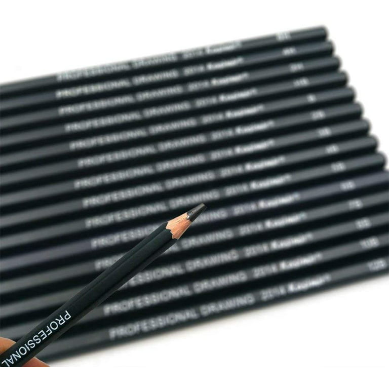 Dyvicl Professional Drawing Sketching Pencil Set - 12 Pieces Drawing  Pencils 10B, 8B, 6B, 5B, 4B, 3B, 2B, B, HB, 2H, 4H, 6H Graphite Pencils for