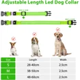 thumbnail image 2 of Collar para perros recargable con luz LED, collar de seguridad impermeable e intermitente con correa impermeable ajustable para perros pequeños/medianos/grandes, súper brillante, verde M, 2 of 5