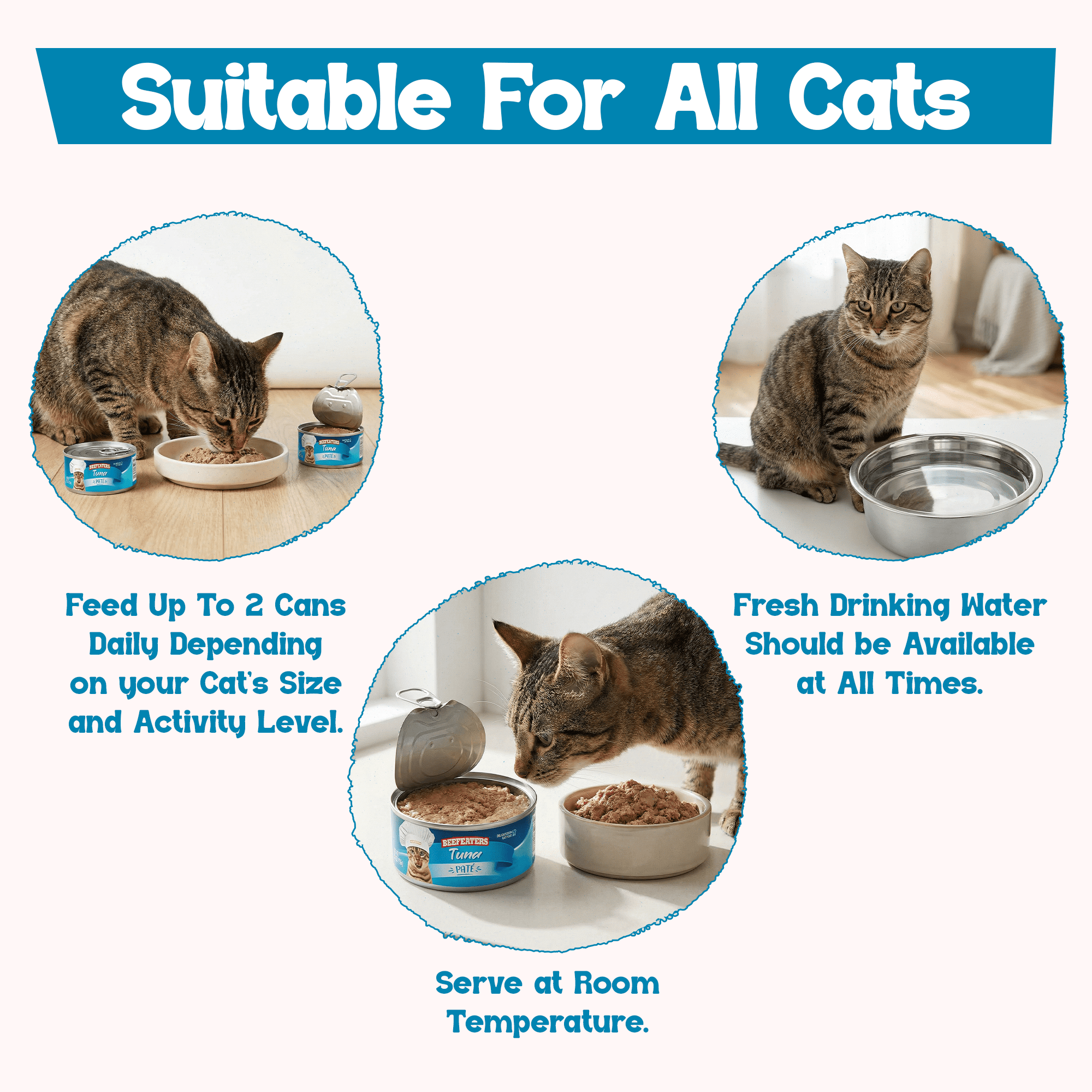 Beefeaters Tuna Pate Wet Cat Food 5.5oz (24-Pack) | Adult Wet Food with Taurine, Premium Catfood Wet Food, No Artificial  Additives, Balanced Nutrition | Supports Immune System & Vision