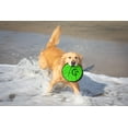 thumbnail image 4 of Juguete para perros Hyper Pet Flippy Flopper 9 discos voladores, paquete de 5, 4 of 9