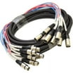 Seismic Audio 2-Channel XLR Snake Cable - 15 Feet, Color Coded, For Pro Audio Setup