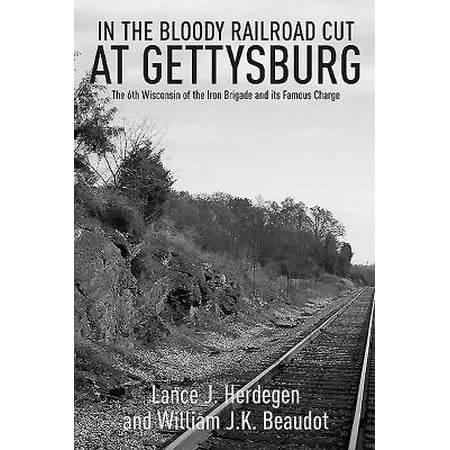 In the Bloody Railroad Cut at Gettysburg : The 6th Wisconsin of the Iron Brigade and Its Famous (Iron Brigade Best Weapons)