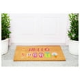 thumbnail image 3 of Calloway Mills 107441729 Summer Fun Doormat 17" x 29", 3 of 3