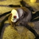 thumbnail image 4 of Mom's Best Juguete de araña de ojos rojos para Halloween, accesorios de broma, 4 of 7