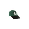 thumbnail image 1 of Gorra de beisbol Aeropostale NY 87 para hombre verde L/XL, 1 of 2