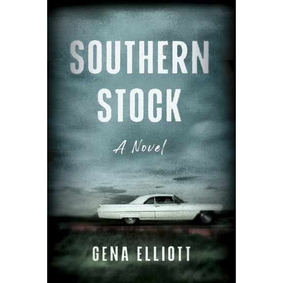Southern Stock, (Hardcover)
