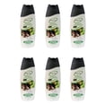 thumbnail image 1 of Purest Shampooing Antipelliculaire Rafraîchissant au Thé Vert + Citron (400 ml) (Lot de 6), 1 of 1