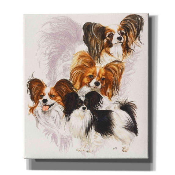 Epic Graffiti 'Papillion' by Barbara Keith, Canvas Wall Art, 26"x30"