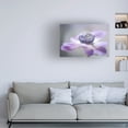 thumbnail image 3 of Keren Or 'Purple Flower' Canvas Art, 3 of 3