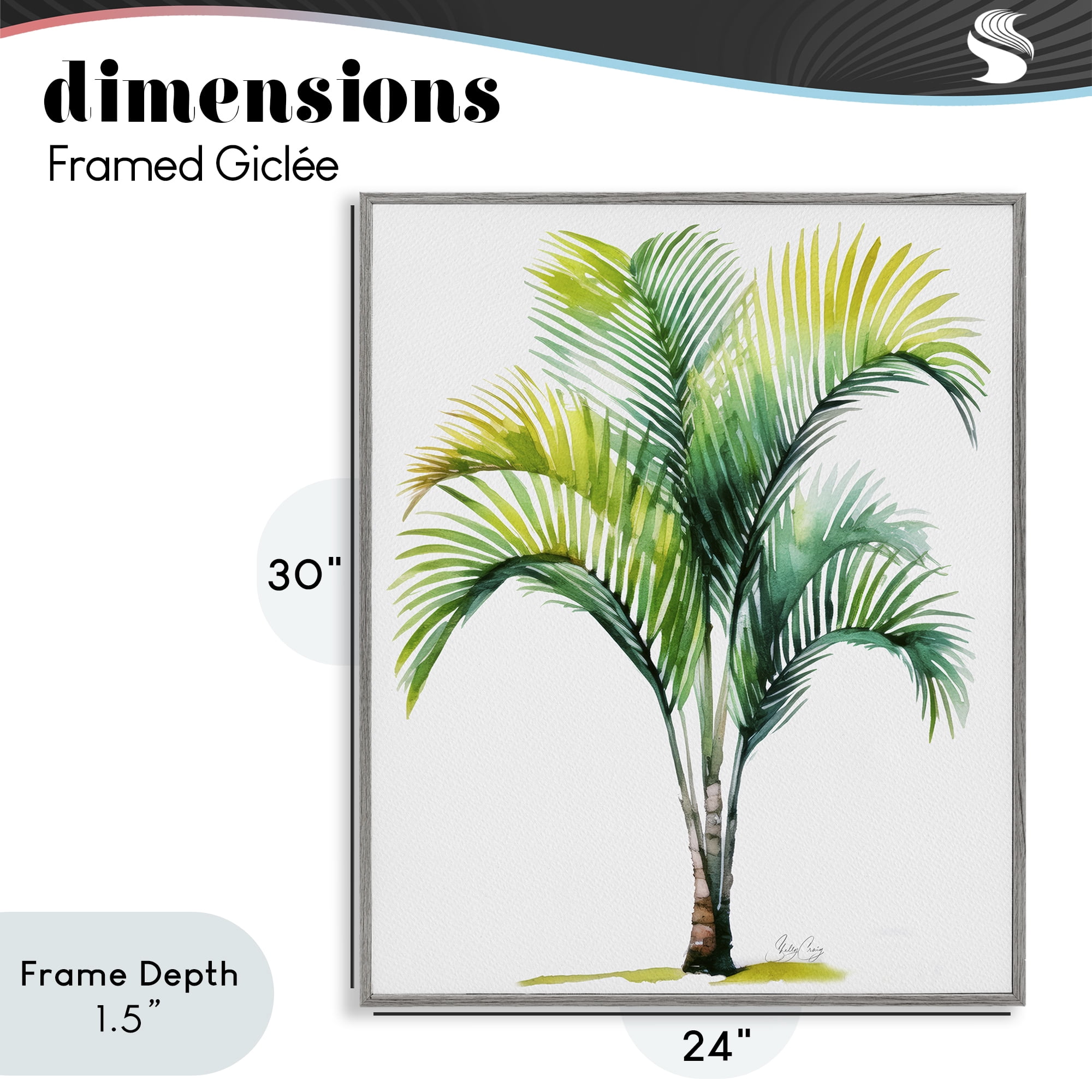 Stupell Industries Coastal Canopy Palm Tree Gray Framed Giclee Art, design by Shelly Craig