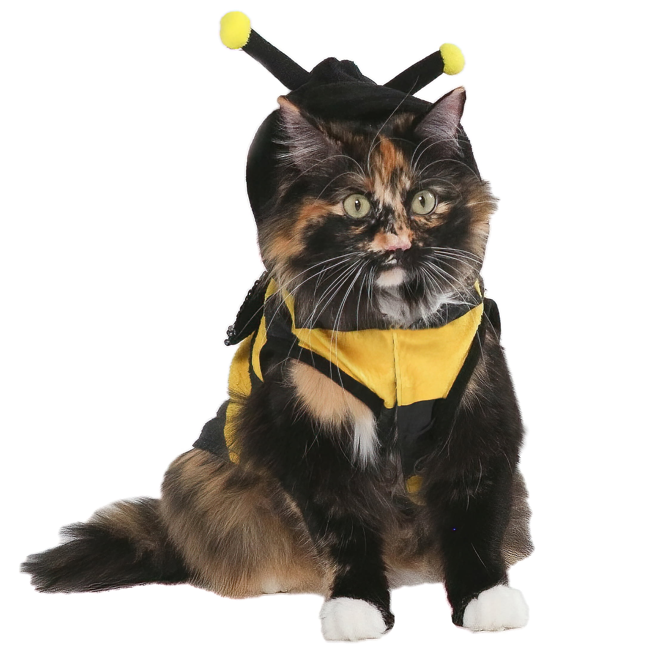 Vibrant Life Vl Hw Bumblebee Costume Small