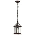 thumbnail image 3 of Nuvo 60-4978 - Boxwood - 1 Light - 14" Outdoor Hanging W/ Clear Beveled Glass, 3 of 5