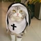 thumbnail image 4 of Disfraces de Perro de Halloween Disfraces de Cosplay de Mascotas Ahora Disfraces de Cosplay de Perro Hermanas Kit Personalizado Pequeño Animal Divertido Vestido de Fiesta Evento Disfraces de Perro Fot, 4 of 9