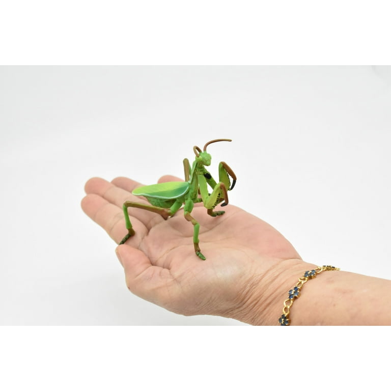 アビソ プレイング・マンティス5’4″ AVISO　PRAYING MANTIS Insect backpack praying mantis, bag stuffed | eBay
