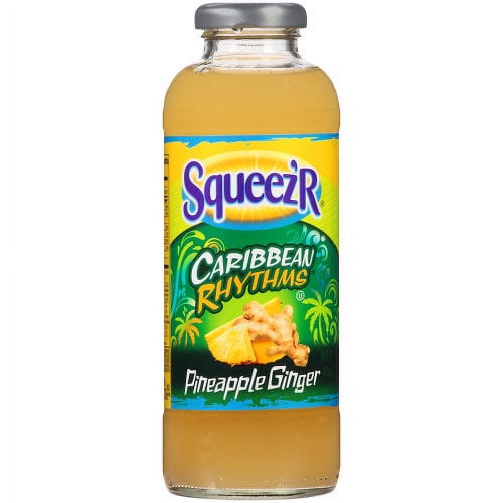 (2 pack) Squeez'R Caribbean Rhythms Pineapple Ginger Juice, 20 fl oz