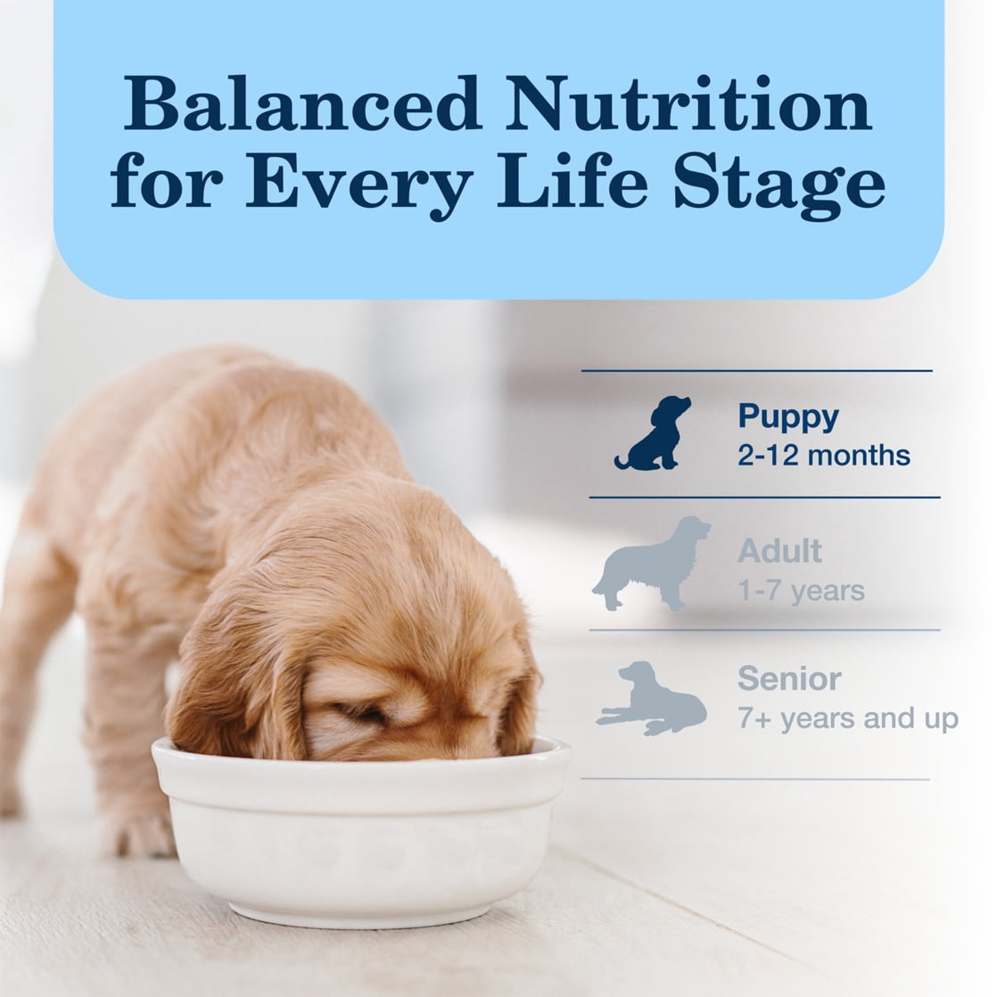 Blue Buffalo Homestyle Recipe Chicken Pate Wet Dog Food for Puppies, Whole Grain, 12.5 oz. Can