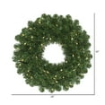 thumbnail image 2 of Vickerman 24" Oregon Fir Artificial Christmas Wreath, Warm White Single Mold LED Wide Angle Lights, 2 of 2