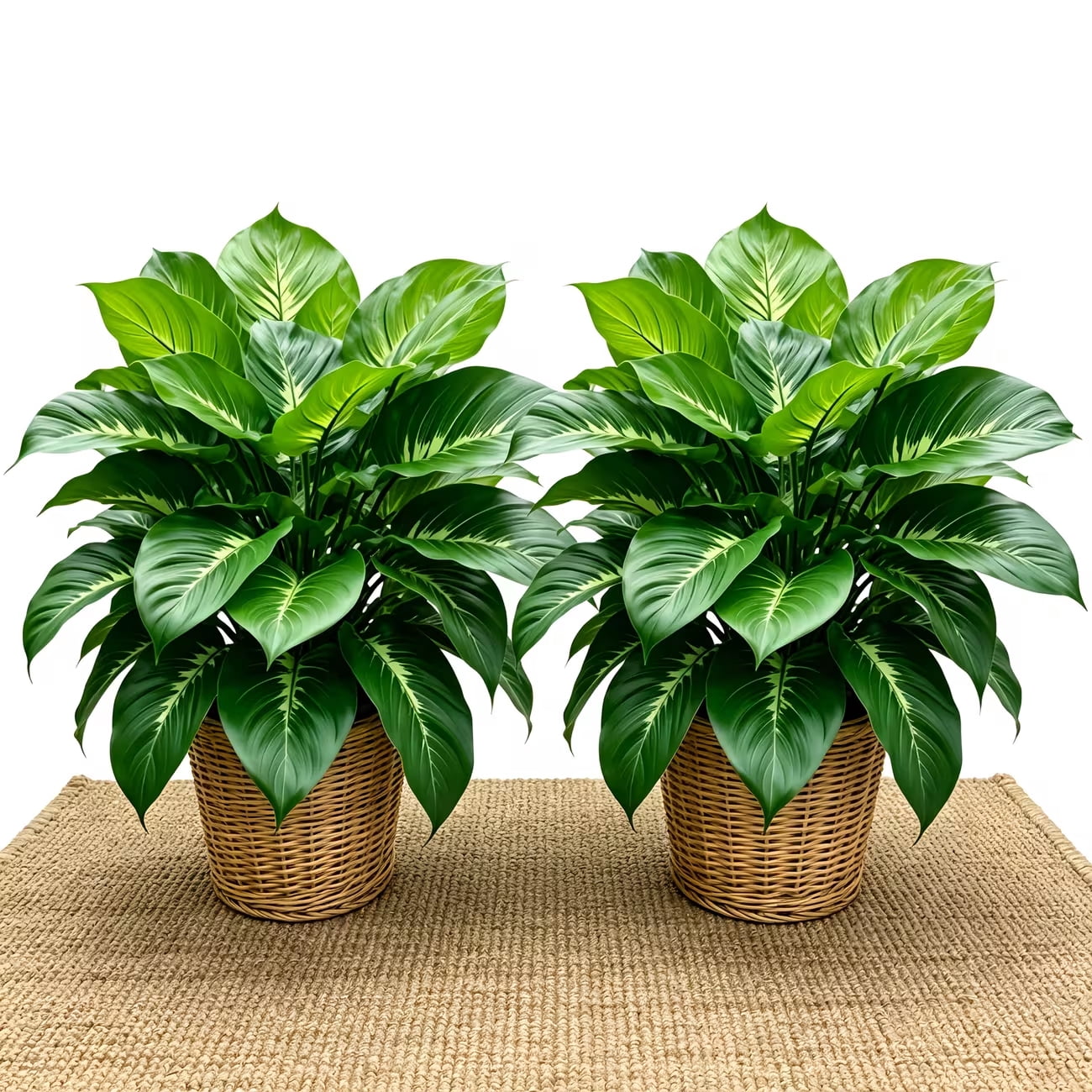 2 Large Realistic Artificial Green Plants Lifelike Tropical Style Lush Green Leaves Perfect for Indoor Outdoor Ground Decoration Home Garden Courtyard Durable Plastic Material No Maintenance Required