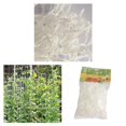 thumbnail image 1 of 2 Piezas de Vid de Flor Vegetal 10 M 32,8 Pies Plantas Enrejado Malla de Red de Escalada Macarena Vides Climbin Trellis Netting, 1 of 8