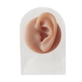 thumbnail image 2 of Human Models Practical Soft Feelings Silicone Modeling Delicate Texture Bubbles for Exercises Demonstration Tool - left ear with stand, 2 of 8