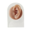 Human Models Silicone Modeling Texture for Home Teaching left ear with stand