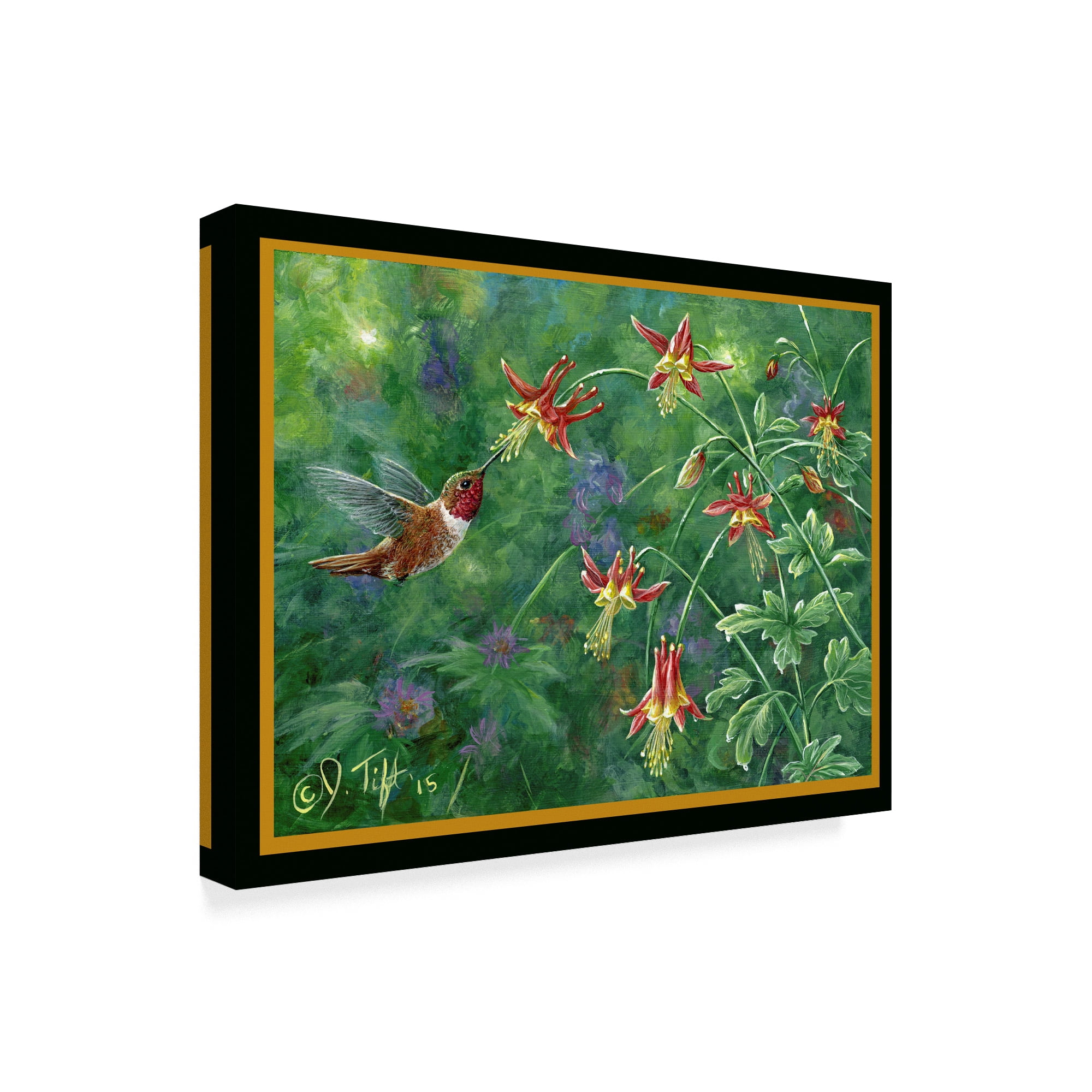 Trademark Fine Art 'Rufous Hummingbird' Canvas Art by Jeff Tift
