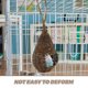 thumbnail image 3 of PAMINGONO Nido Decorativo De Ratán Resistente Para Pájaros Pequeños Ideal Para Colgar En Jardín, 3 of 8