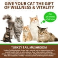 thumbnail image 5 of Oimmal Turkey Tail Mushroom Drops for Cats – Immune Support & Digestive Wellness Supplement with 5 Mushroom Blend, Probiotics & Turmeric – 2 fl oz Bacon Flavor, 5 of 12